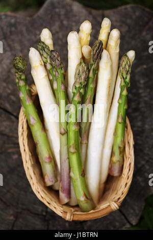 white and green asparagus Stock Photo