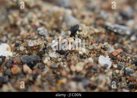 Grainy Sand Stock Photo