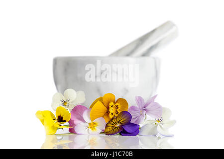 group of nice pansy multicolored ceramic mortar Stock Photo