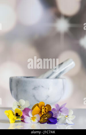 group of nice pansy multicolored ceramic mortar Stock Photo