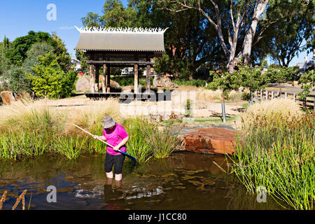 The Avoca Chinese Garden was opened on the 11/10/2014.The garden pays homage to the thousands of Chinese who passed through Avoca seeking their fortun Stock Photo