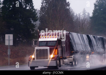 Big nice classic burgundy rig semi truck with lights and flat bad frailer with black turp  in rain on high way on trees backgrount Stock Photo