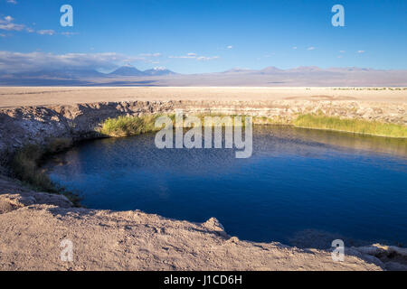 Ojos del salar lagoon landmark in San Pedro de Atacama, Chile Stock Photo