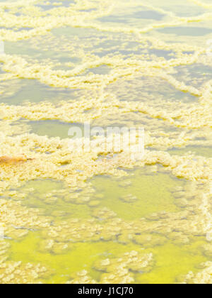 Mineral formations at sulphur lake Dallol in a volcanic crater in the Danakil Depression, northeast of the Erta Ale Range in Ethiopia. The lake with i Stock Photo