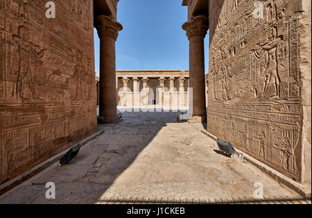 inner courtyard and columns of the Ptolemaic Temple of Horus in Edfu, Egypt, Africa Stock Photo