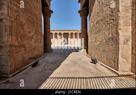 inner courtyard and columns of the Ptolemaic Temple of Horus in Edfu, Egypt, Africa Stock Photo