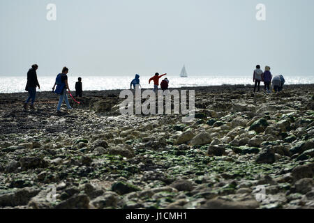 People enjoying a day out on a rocky shoreline in Sussex, UK Stock Photo