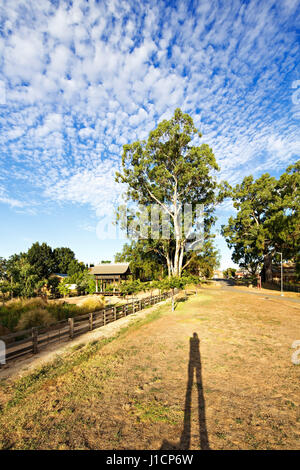 The Avoca Chinese Garden was opened on the 11/10/2014.The garden pays homage to the thousands of Chinese who passed through Avoca seeking their fortun Stock Photo