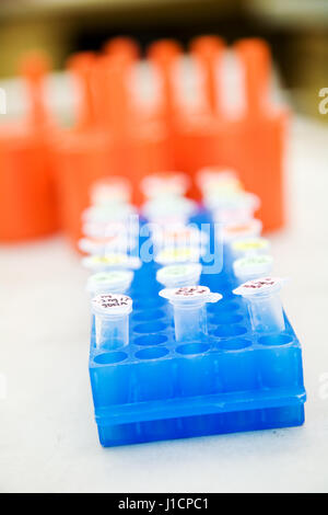 Dna Sample Container A shot of DNA samples in a laboratory in blue tone Stock Photo - Alamy