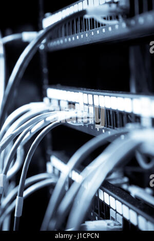 A shot of network cables connected to switches in a  data center (in blue tone) Stock Photo