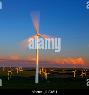 Wind power generation of Bashang in Chengde City,Hebei Province,China Stock Photo