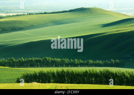 Hulun Buir Grassland scenery in Inner Mongolia Stock Photo