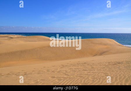 Dunes and beach of Maspalomas on Gran Canaria Canary island in Spain with the Atlantic ocean view Stock Photo