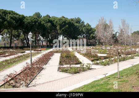 Rose Garden, Parque Del Oeste, Madrid, Spain Stock Photo