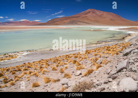 Hot springs on the high plateau in the southern Altiplano in Bolivia Stock Photo