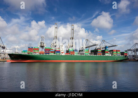 ROTTERDAM, NETHERLANDS - MAR 16, 2016: Container ship moored at the ECT container terminal in the Port of Rotterdam. Stock Photo