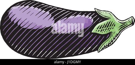 Vector Illustration of a Scratchboard Style Ink and Watercolor Drawing of an Eggplant Stock Vector
