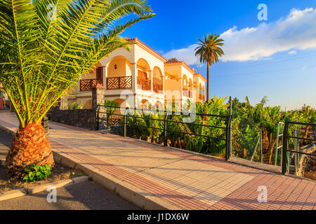 Palm tree and holiday villa at sunset time in Valle Gran Rey village on La Gomera island, Spain Stock Photo