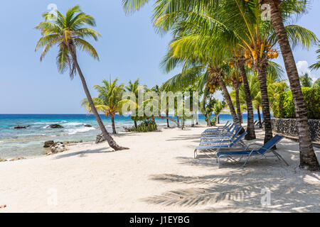 Coconut palm trees and beach chairs line the beautiful sandy beach at Lighthouse Point near the Meridian Resort in Roatan, Honduras.