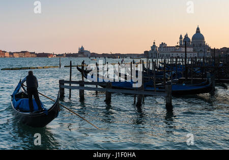 Gondoliers steering their gondolas into St Marks Basin to join line of moored gondolas with church of Santa Maria della Salute in background, Venice