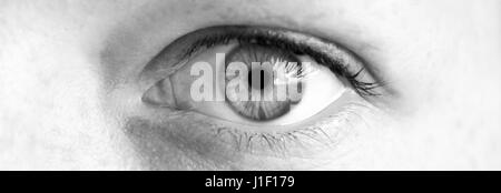 Eye from close Stock Photo