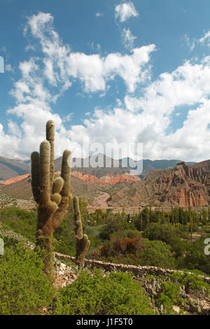 Humahuaca Canyon, Quebrada de Humahuaca, Jujuy Province, Argentina Stock Photo