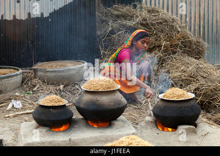 A woman boils paddy at her home courtyard in Chalanbil. Natore ...