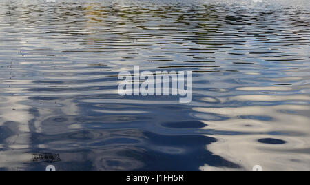 Ripples on a Wiltshire lake. Stock Photo