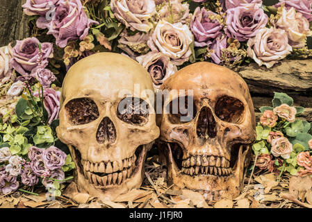 still life painting photography with couple human skull on dried leaves with roses background, love concept, grunge, vintage and dark tone for horror  Stock Photo