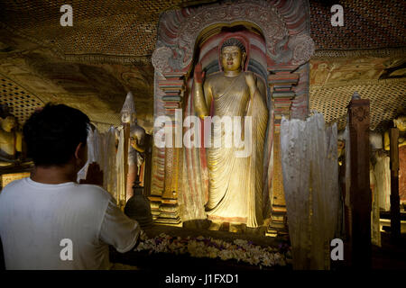 Dambulla Sri Lanka Dambulla Cave Temples - Cave II  Maharaja Viharaya Man Praying in front of Statue of Standing Buddha Under Makara Torana Stock Photo