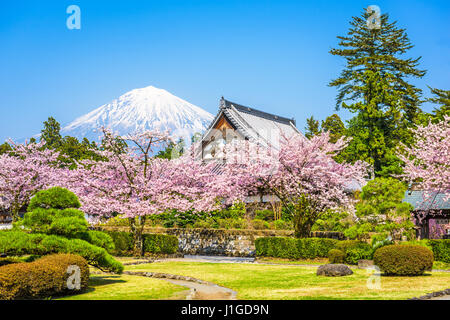 Shizuoka, Japan with Mt. Fuji in spring. Stock Photo