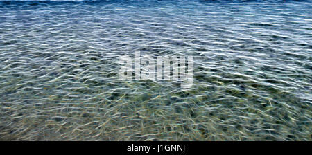 illustration of a sea made up of glowing lines Stock Photo