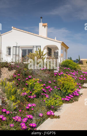 Colourful flowers infront of a white washed villa in Andalucia, Spain Stock Photo