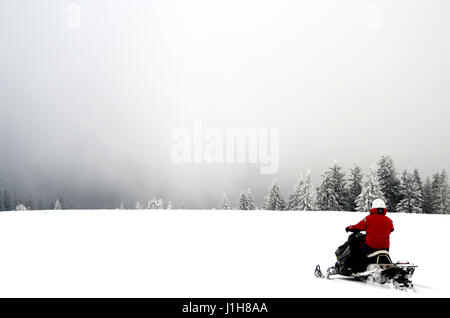 Snowmobile rider in red jacket rides goes down to foggy forest. Winter foggy day. Stock Photo