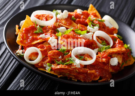 Mexican food fried tortillas with chicken and tomato salsa closeup on a plate on a table. horizontal Stock Photo