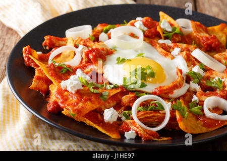 Tortillas with tomato salsa, chicken and egg close-up on a plate. horizontal Stock Photo