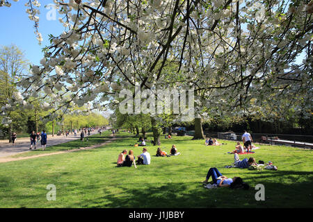 Relaxing in Victoria Park, in springtime, west of Grove Road, east London E3, UK Stock Photo