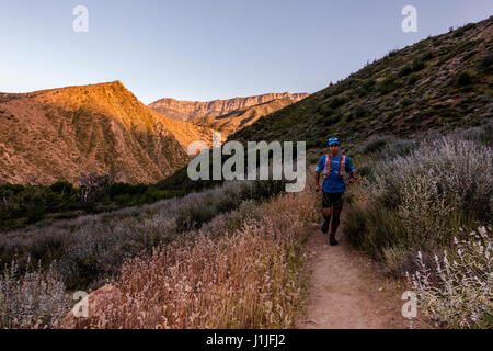 An athlete trail running in the Sespe Wilderness near Ojai, California. Stock Photo