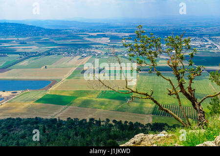 The Jezreel Valley landscape, viewed from Mount Precipice. Northern Israel Stock Photo