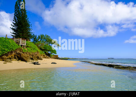 Travel scenic landscape of Bathtub Beach in Laie Oahu Hawaii on the North Shore windward side of the island. Stock Photo