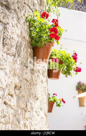 Flower pot hanging from a wall in Vejer de la Frontera, Andalusia, Spain Stock Photo