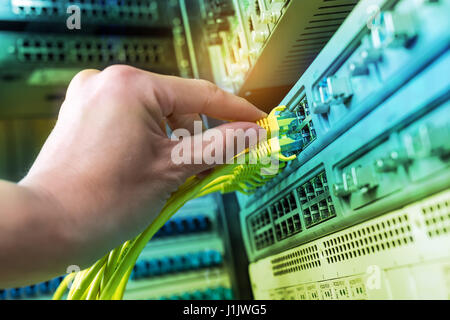 hand of administrator holding network cables connected to servers Stock Photo