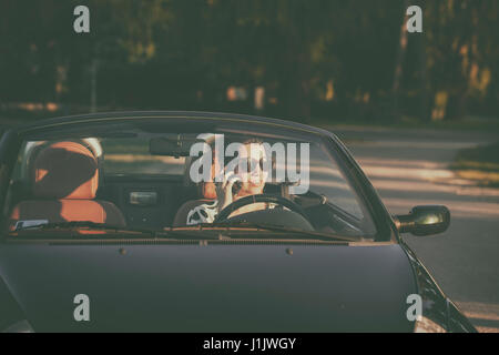 Woman use smartphone in car Stock Photo