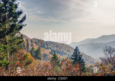 <span class='wsc Subtitle'>Blue Ridge Parkway, Sylva, North Carolina • United States</span>   A last look onto the Blue Ridge Parkway before we turned Stock Photo