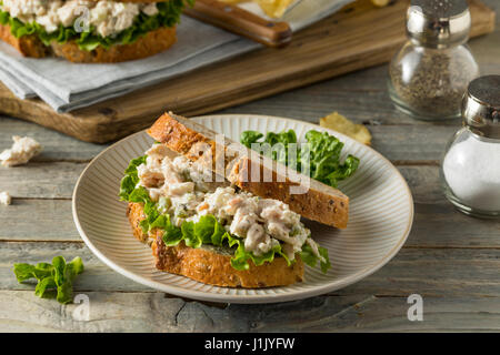 Homemade Healthy Chicken Salad Sandwich with Chips Stock Photo
