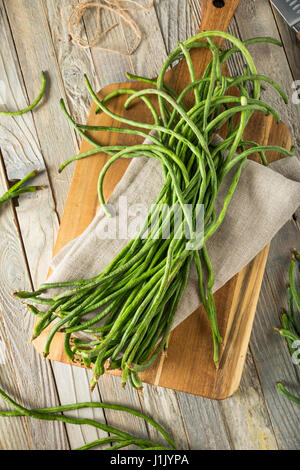 Harvest of green long asparagus beans in basket in hands of female ...