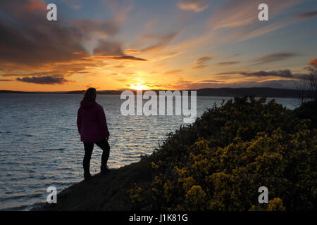 Silverdale, Lancashire, UK  Friday 21st April 2017.  UK Weather.  A woman enjoys a wonderful sunset across Morecambe Bay from Silverdale in Lancashire, North West England © David Forster/Alamy Live News Stock Photo