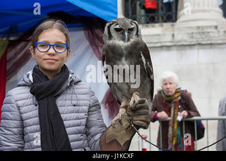 Trafalgar Square, London UK. 22 April, 2017. Feast of St. George.  Hundreds of red and white revellers celebrate the patron saint of England at London's annual Feast of St George in Trafalgar Square. Credit: Steve Parkins/Alamy Live News Stock Photo
