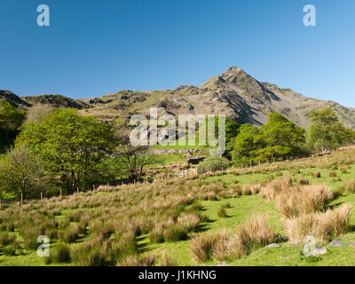 Cnicht summit and SW ridge viewed from Cwm Croesor in the Moelwyn mountains, Snowdonia National Park, North Wales Stock Photo