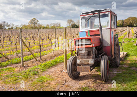 Tractor used on a British English Vineyard, Halfpenny Green, Staffordshire in spring UK Stock Photo